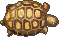 甲鱼.gif
